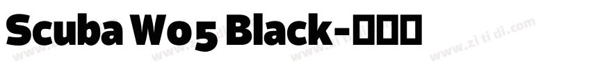 Scuba W05 Black字体转换